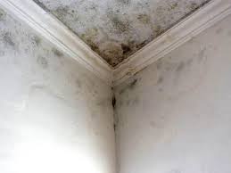 Mold Removal for HVAC Installations in Baltimore, MD